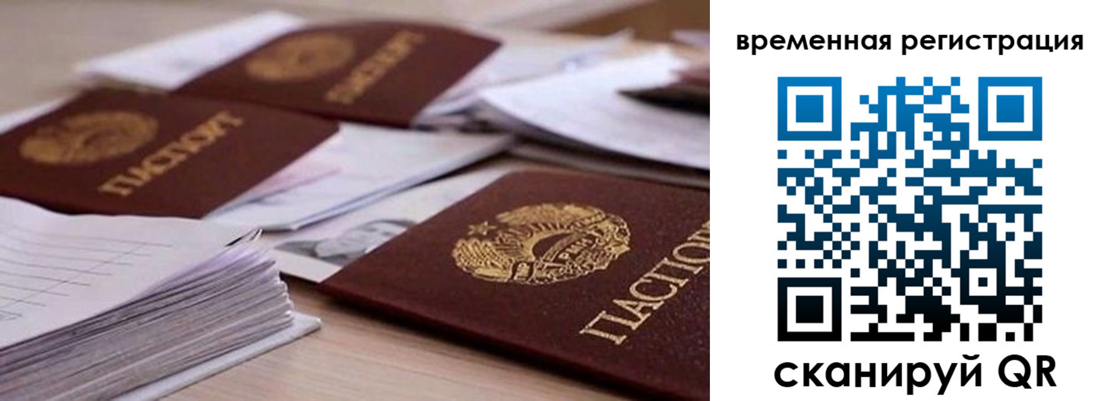 временная регистрация поиск в Коле
